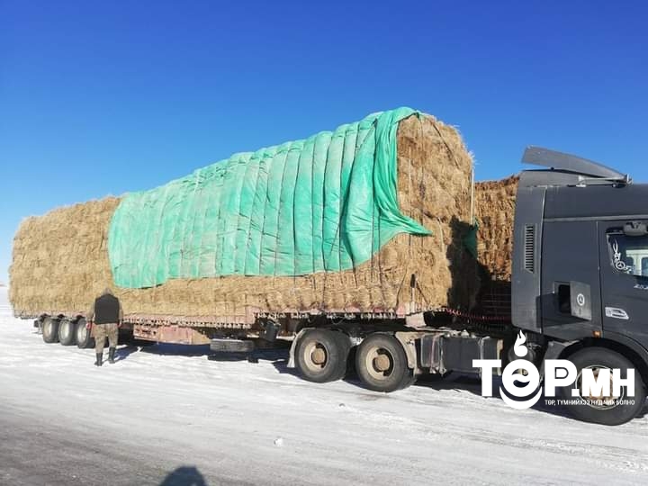 Зарим аймагт өвс, тэжээлийг 50 хувиар хямдруулан олгоно