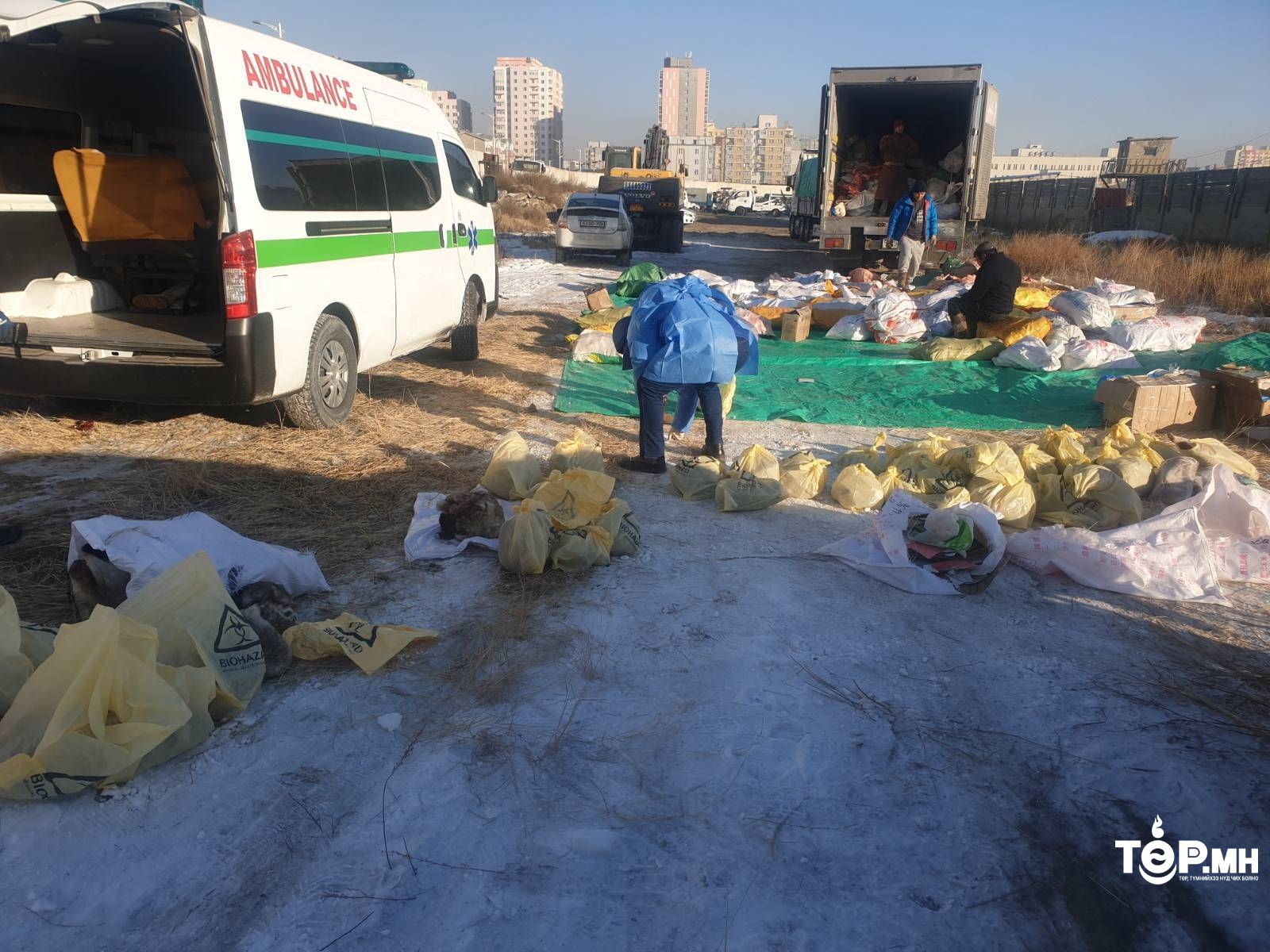 Автомашины тээшинд нуусан 162 ширхэг хөлдөөсөн "ТАРВАГА" илрүүлжээ