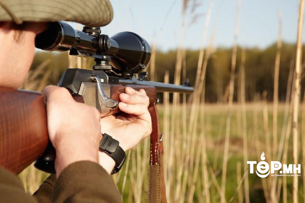 Тусгай зориулалтаар 2023 онд агнах, барих агнуурын тоо толгойг тогтов