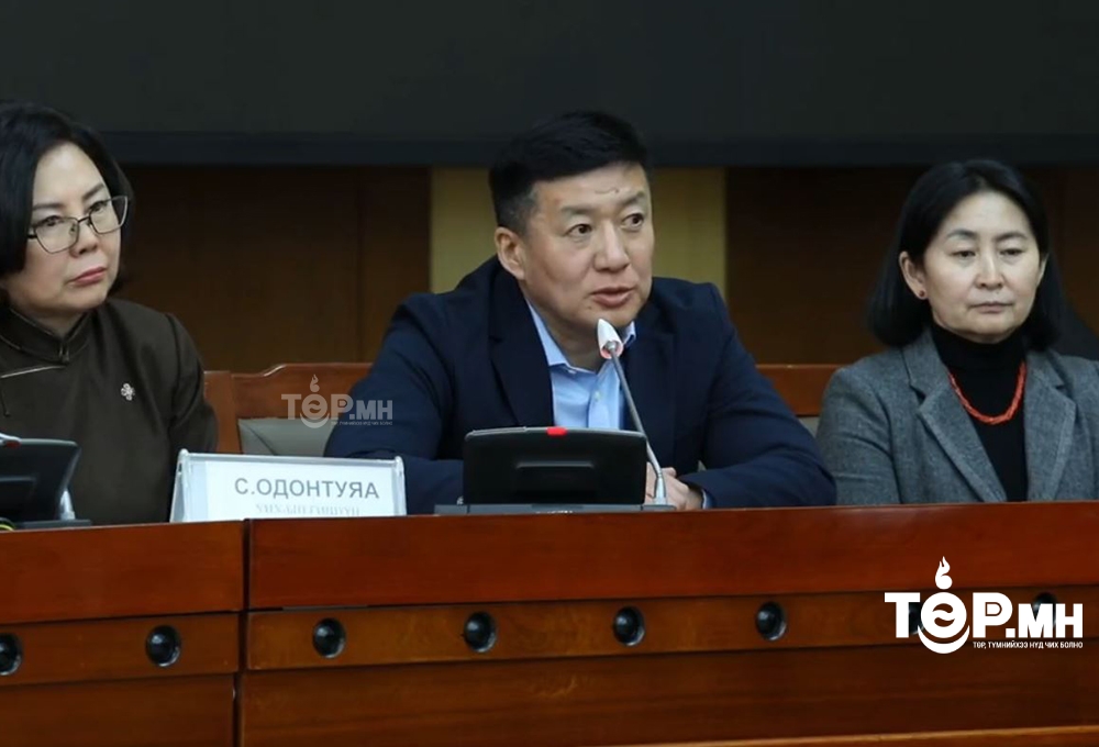 С.Баярцогт:  Манай намыг аваад явах олон лидер залуучууд байгаа