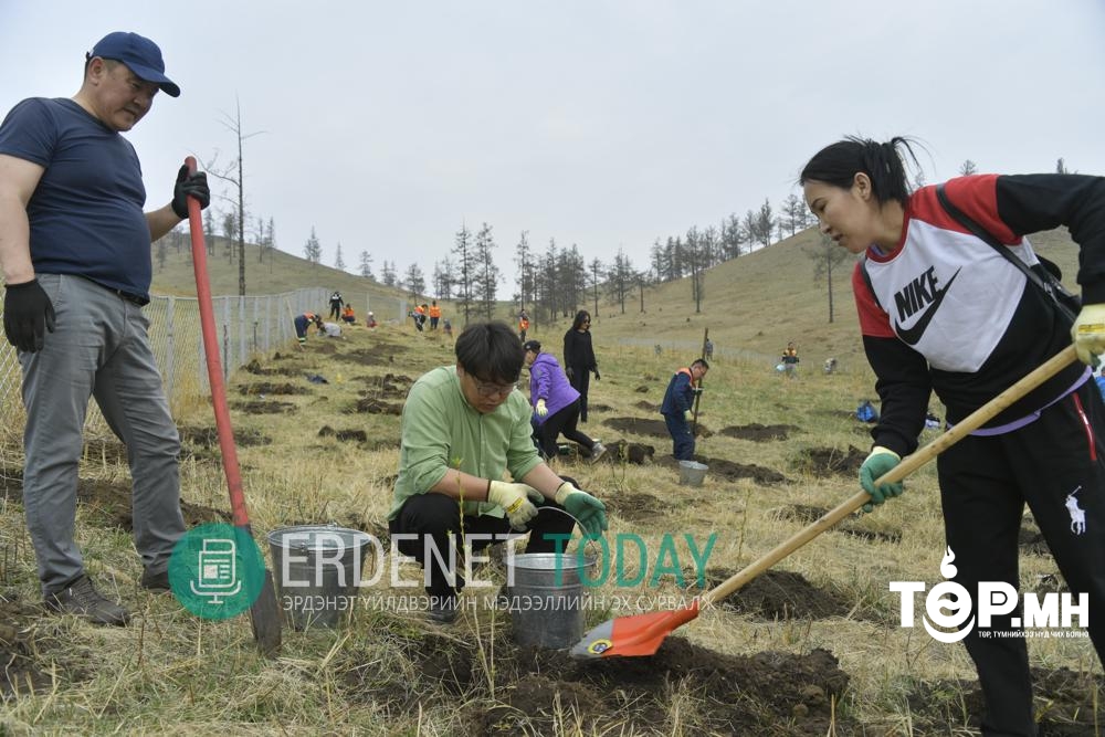 Эрдэнэт үйлдвэрийн ажилтнууд энэ жилийн мод тариалалтаа эхлүүллээ