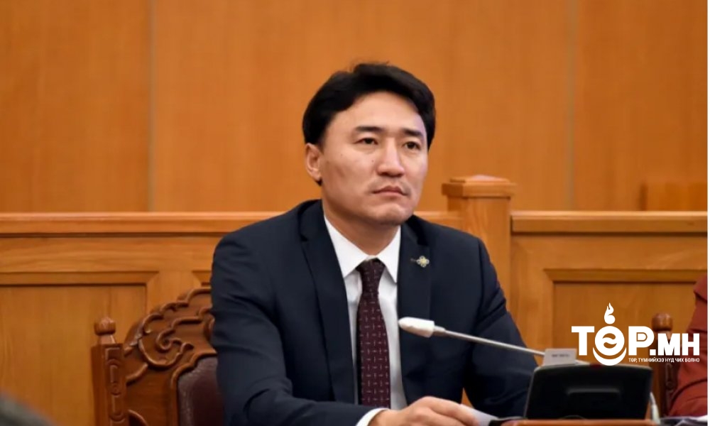 Г.Дамдинням: Төрийн өмчит компаниудыг яаралтай олон нийтийн хяналтад оруулах шаардлагатай байна