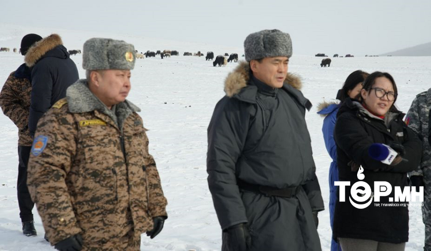 Архангай аймагт 10 мянга орчим мал отроор өвөлжиж байна