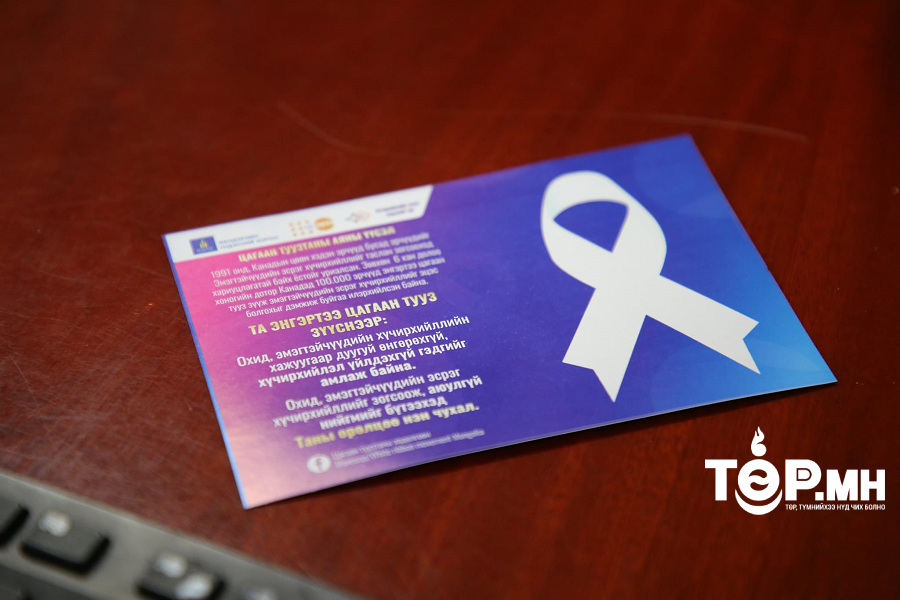 ГБХЗХГ: Жендэрт суурилсан хүчирхийлэлтэй тэмцэх аянд нэгдлээ