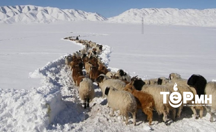 Нийт нутгийн 30 хувьд зудын эрсдэл их байна