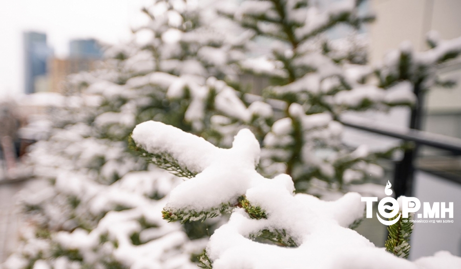 Улаанбаатар хотод цас орно