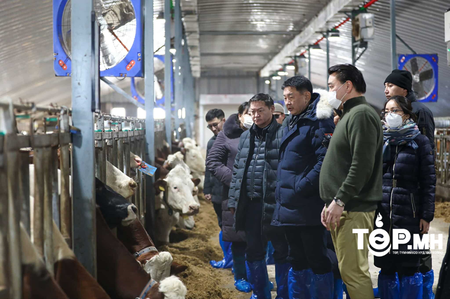 Монгол Улсын Ерөнхийлөгч сүүний чиглэлийн фермүүдэд ажиллалаа