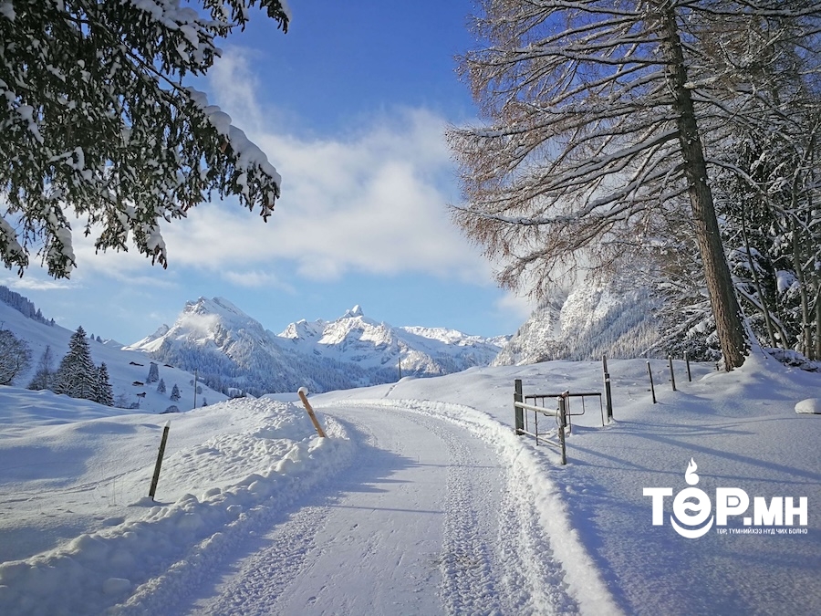 Өнөөдрөөс эхэлж баруун болон төв хэсгээр цас орж, цасан шуурга шуурна