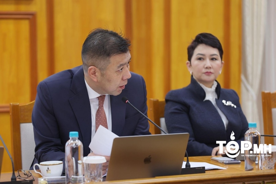 Б.Энхбаяр: Хуулийн хязгаараас давсан 1000 журмыг хүчингүй болгоно 