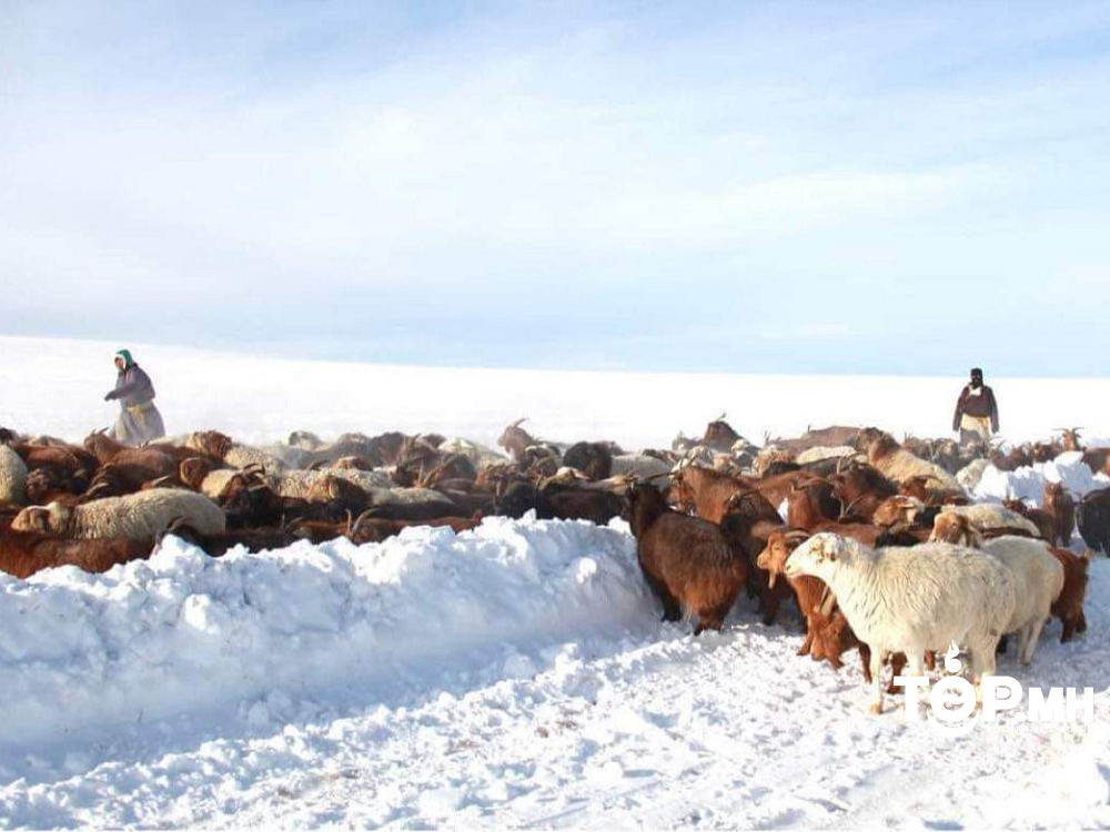 Нийт нутгийн 70 гаруй хувьд их, 20 хувьд нь дунд зэрэг зудын эрсдэлтэй байна
