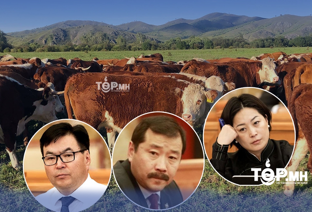 П.Анужингийн 121, Ж.Бат-Эрдэнэ, Ц.Анандбазар нарын тус бүр 104 үхрийг ЭЭМЭГЖҮҮЛЭХ нь...