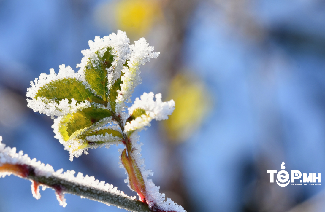 Улаанбаатар хотод өдөртөө  -10 градус хүйтэн
