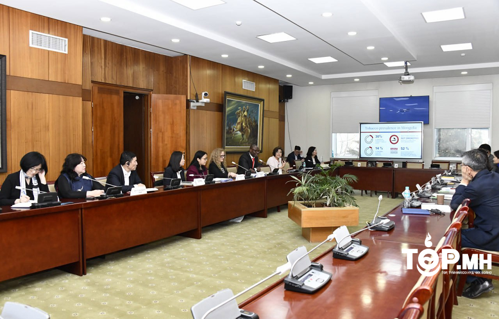 ДЭМБ-ын Тамхины хяналтын суурь конвенцын Нарийн бичгийн дарга Кэтлин Ланнан тэргүүтэй төлөөлөгчидтэй уулзлаа