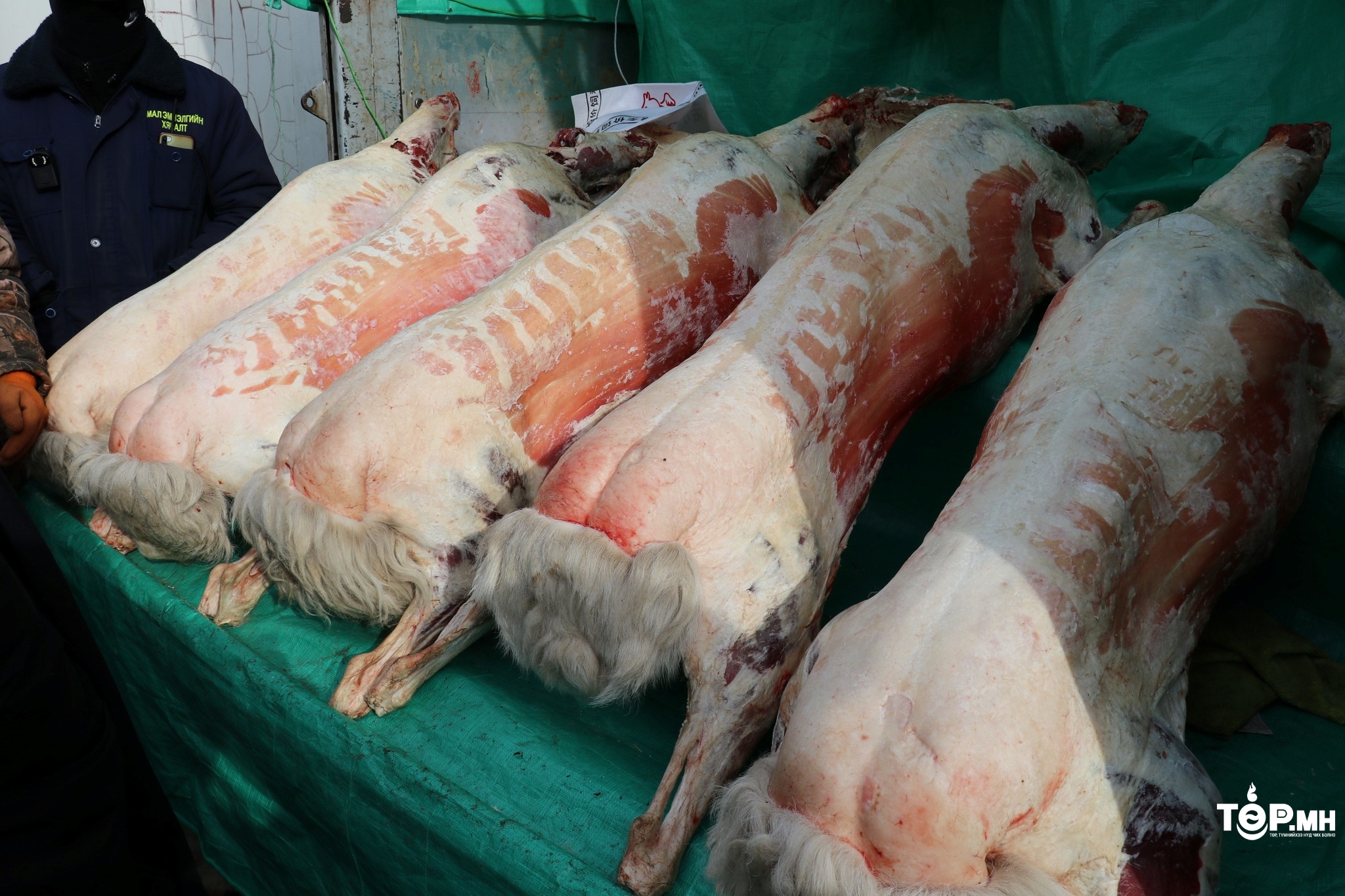 Худалдан авагчдад ХУДАЛ мэдээлэл өгч, худалдаа эрхэлсэн иргэдийг торгожээ