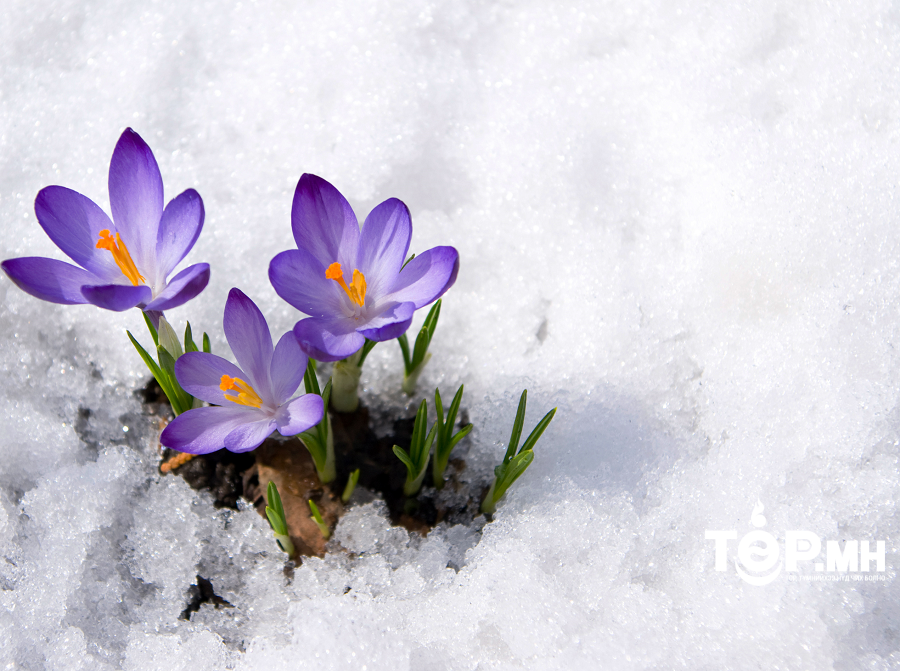 Гуравдугаар сард монгол орны нутгийн баруун хэсгээр олон жилийн дунджаас дулаан байна.