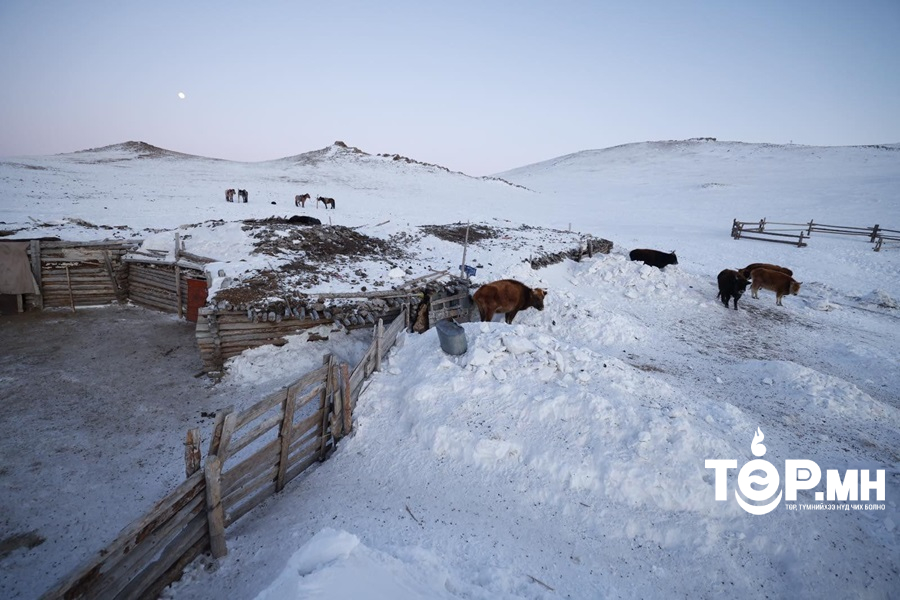 Гуравдугаар сарын ихээр олон жилийн дунджаас 3–6ºС–аар хүйтэн байна