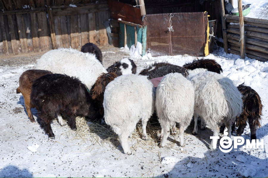 Малчид, иргэдэд үзүүлэх эрүүл мэндийн тусламж үйлчилгээний хүртээмжийг нэмэгдүүлнэ