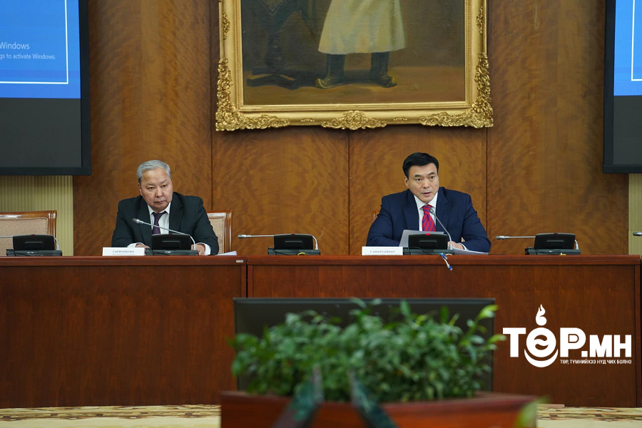 Удирдлага зохион байгуулалтаар хангах шуурхай бүлгүүдийг зудад өртсөн аймгуудад томилж ажиллуулахыг үүрэг болголоо