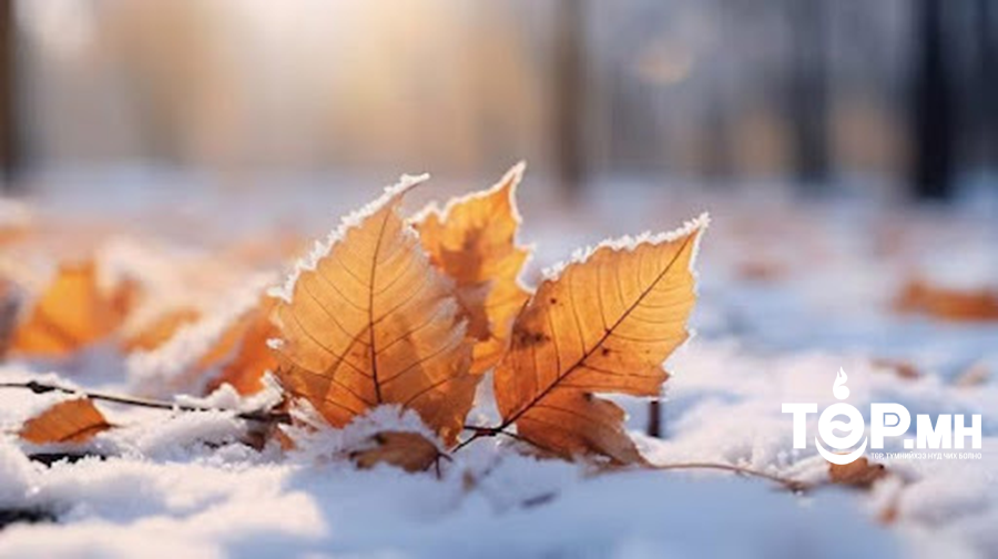 Өнөөдөр ихэнх нутгаар цаг агаар тогтуун, дулаан байна