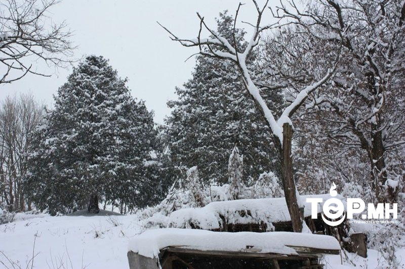 Улаанбаатарт -15 хэм хүйтэн, цас орно