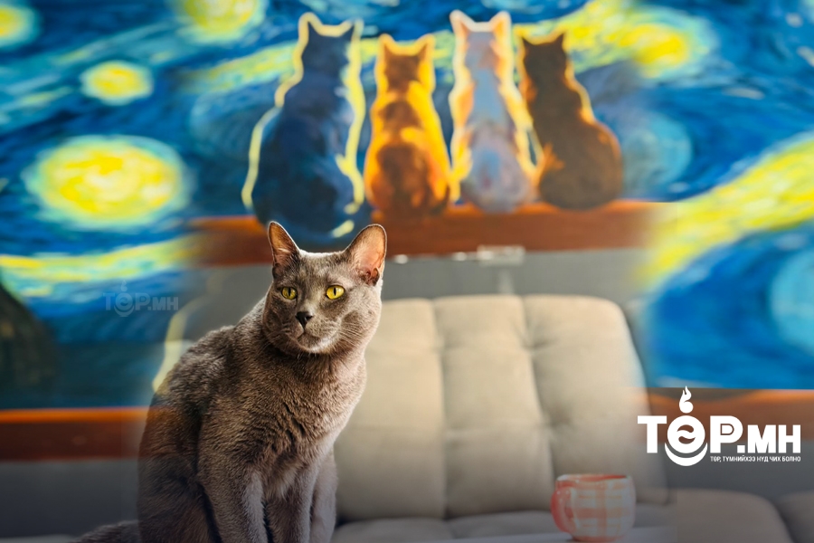 Фото сурвалжилга: Би ЗОЧИН, муур ЭЗЭН