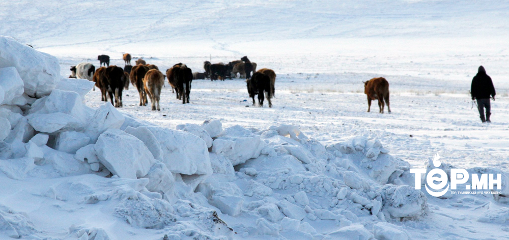 11 аймгийн 22 суманд цагаан зудтай байна