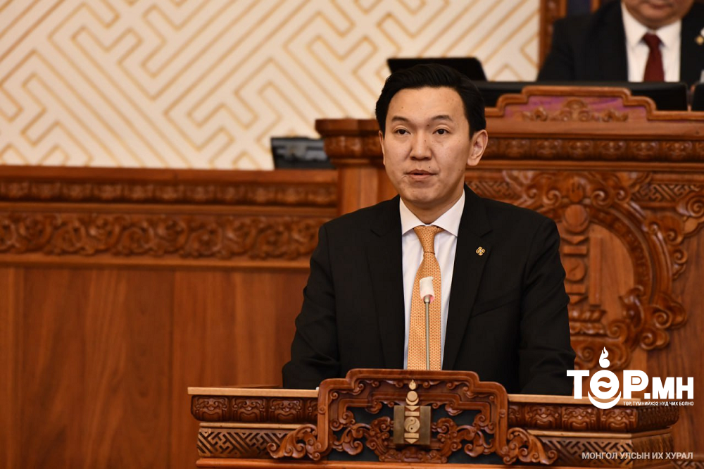 Олон нийтийн сүлжээнд хүний эрхийг хамгаалах тухай хуулийн төслийг анхны хэлэлцүүлэгт шилжүүллээ