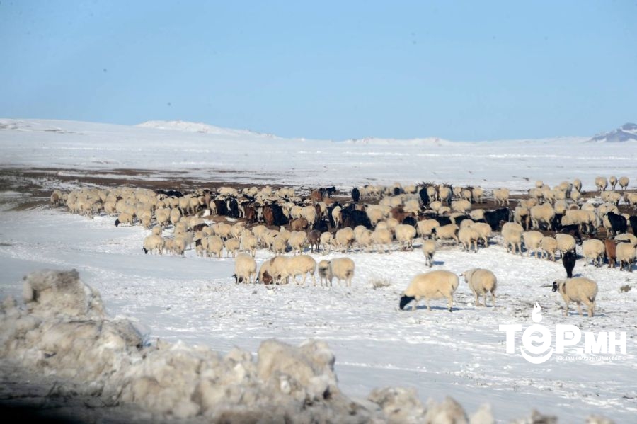 Нийт нутгийн 60 хувьд зудын эрсдэл ӨНДӨР байна