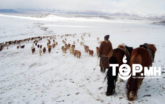 "Төрийн хэмнэлтийн тухай хууль" малчдыг хохироож байна