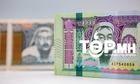 Өндөр орлоготой айл өрхөд хүүхдийн мөнгөн тэтгэмж ОЛГОХГҮЙ