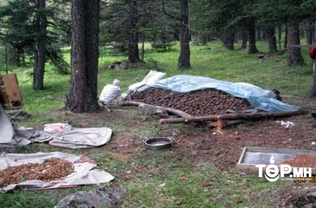 Сураггүй болсон иргэнийг хайж байна