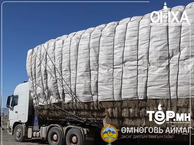 Өвс, тэжээл бэлтгэл