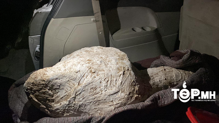 ЦЕГ: 72-83 сая жилийн өмнө манай оронд амьдарч байсан үлэг гүрвэлийн ясыг хууль бусаар зарах гэж байсныг илрүүллээ