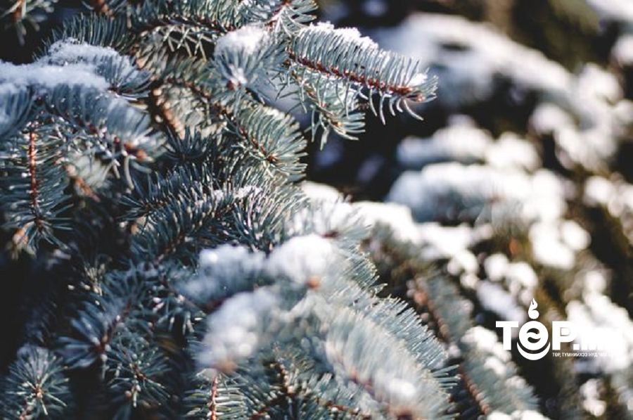 Хур тунадас нутгийн зүүн хагаст олон жилийн дунджаас ахиу орох төлөвтэй