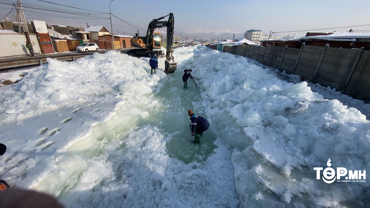Халиа тошин үүссэн байршлуудад шуурхай баг өдөр бүр ажиллаж байна