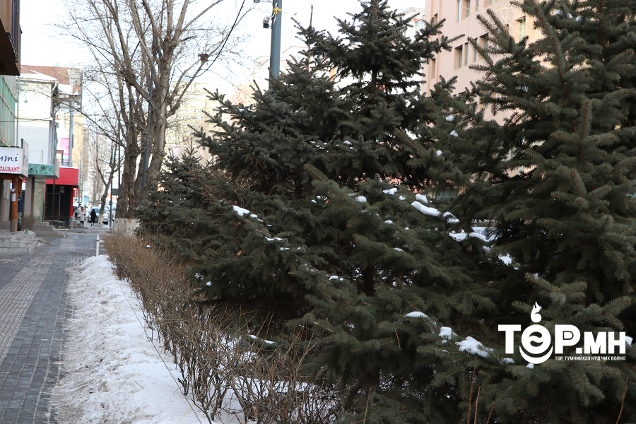 Улаанбаатар хотод -15 градус хүйтэн