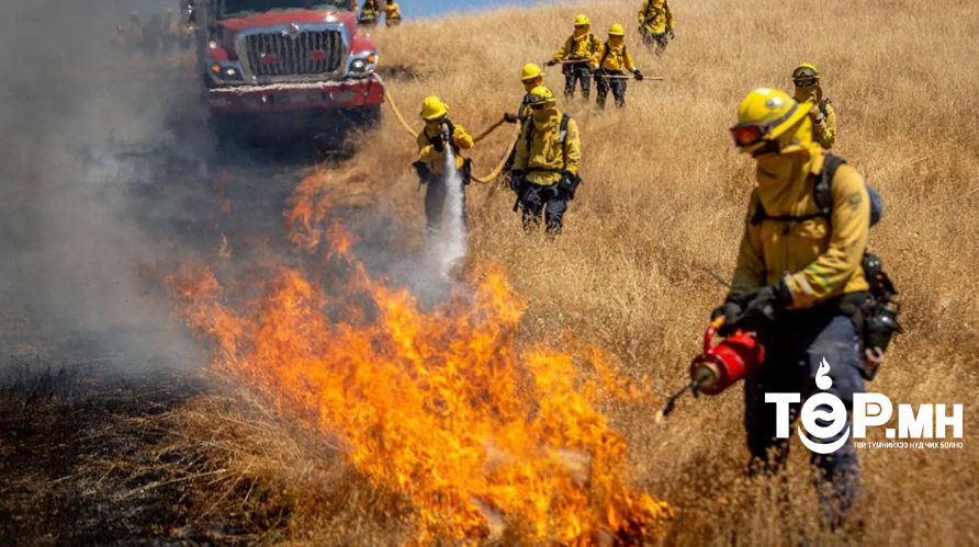 Ой, хээрийн түймрийг мужийн ой, усны менежментийн бодлоготой холбон тайлбарлалаа