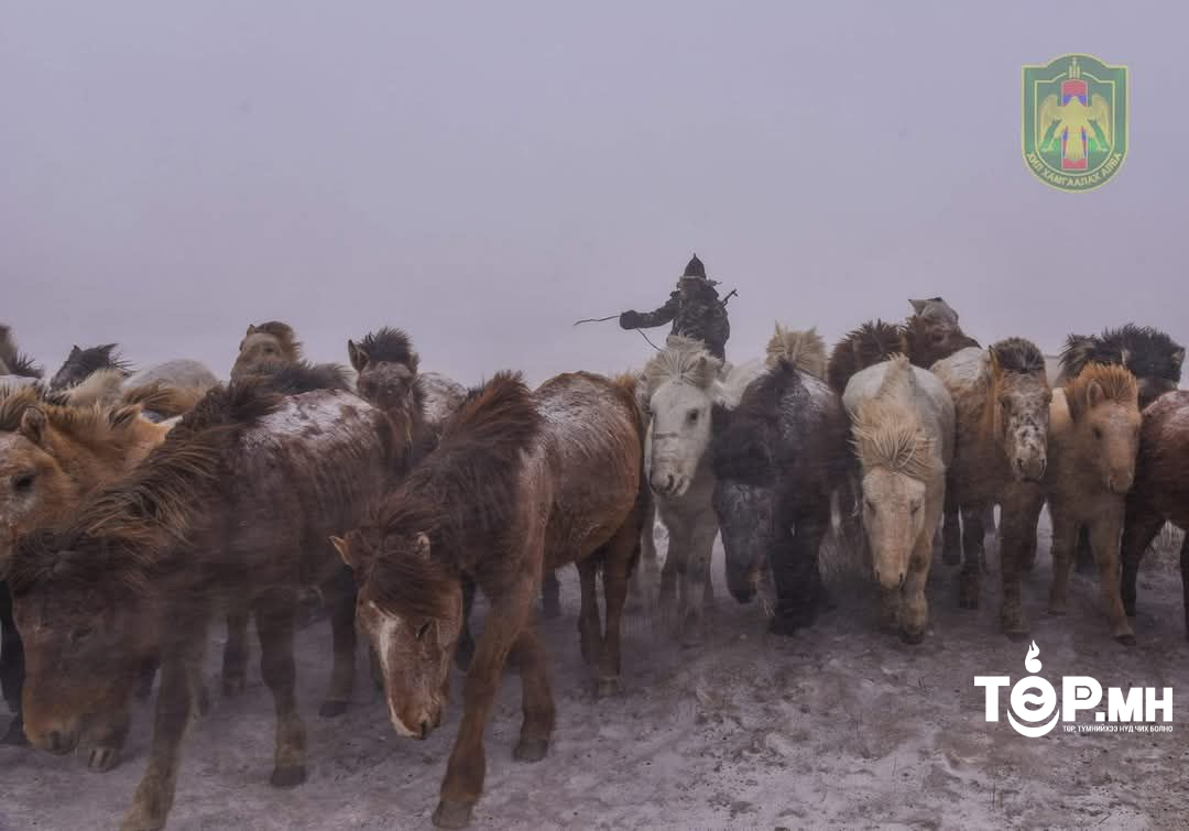 Бензин нь дуусаж, тусламж хүсэхээр яваад төөрсөн иргэнийг хилчид олж, эмнэлгийн анхан шатны тусламж үзүүлжээ