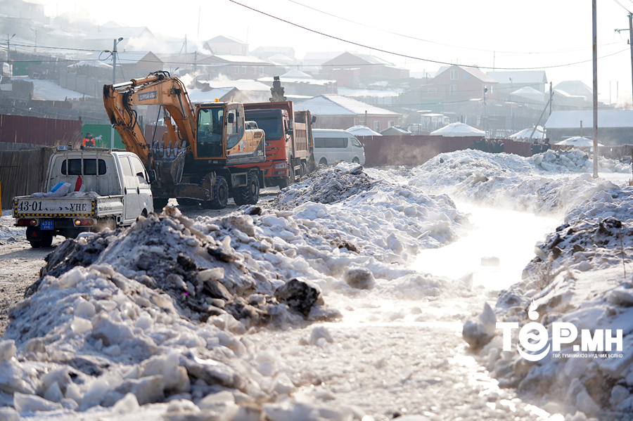 Сонгинохайрхан дүүргийн арван хороонд халиа тошин үүсээд байна