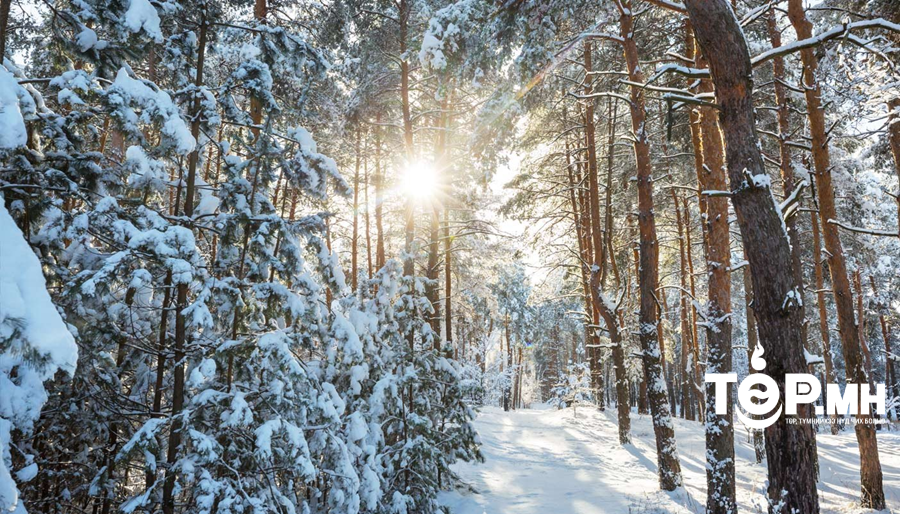 Ойрын хоногуудад ихэнх нутгаар хүйтэн хэвээр байна