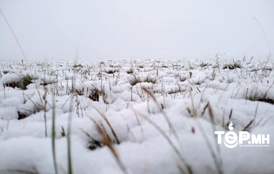 Нэгдүгээр арав хоногийн сүүлч, хоёрдугаар арав хоногийн эхээр ихэнх нутгаар цас орж, салхи зарим газраар ширүүсэх төлөвтэй байна