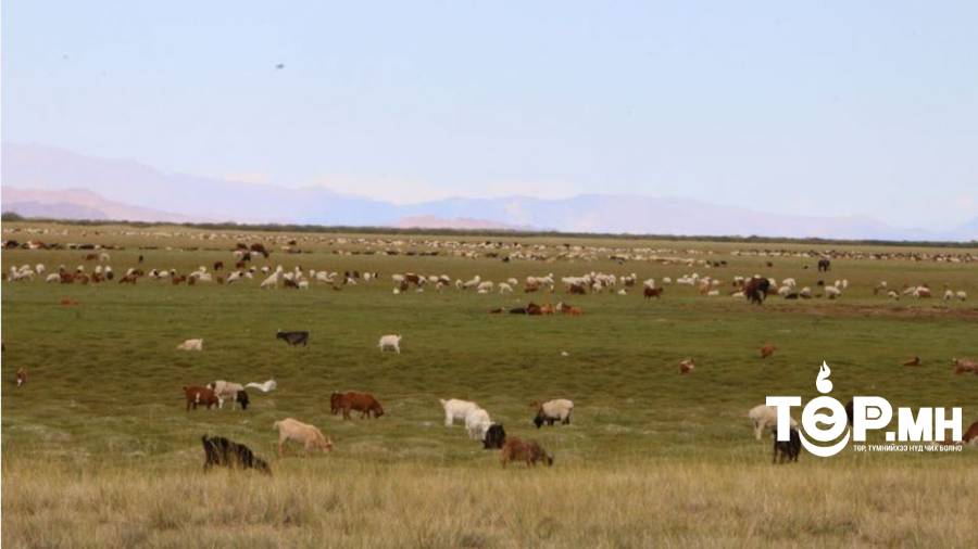 Нийт нутгийн 51 хувьд гантай болон гандуу байна