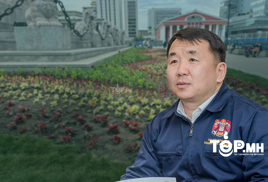 Ц.Төрхүү: Өвөлжингөө тарьж ургуулсан цэцгийг өдөр нь суулгахаар шөнө нь хулгайлчих юм