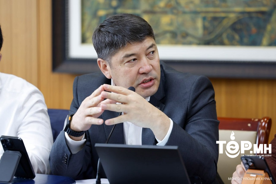 Т.АУБАКИР: Автомашины татвар нэмэгдүүлэх, хэмжээ тогтоосон НИТХ-ын шийдвэр процессийн алдаа гарсан байх магадлалтай