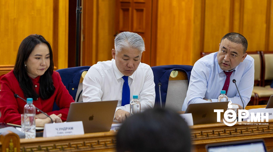 Төрийн өмчит дулааны цахилгаан станцуудад онцгой дэглэм тогтоож ажиллах чиглэл өглөө