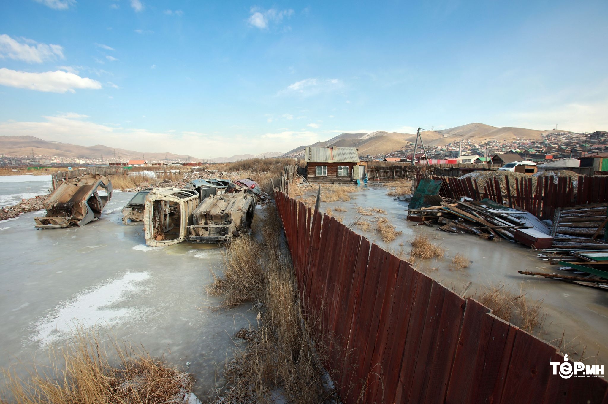 Нийслэлийн хэмжээнд халиа дошин арилгахад жил тутамд 200 сая гаруй төгрөг зарцуулж байна