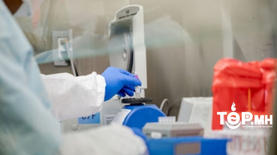 Лхагва гарагт ажиллах шинжилгээний болон дархлаажуулалтын цэгүүд