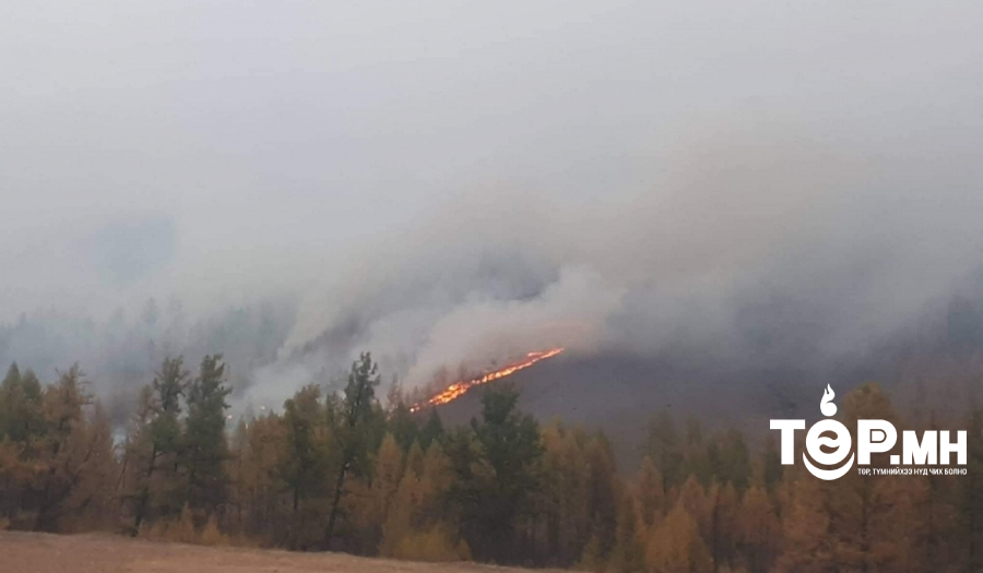 Нийт баг, хороодын 141 нь ой, хээрийн түймэрт өртөх эрсдэл маш их байна