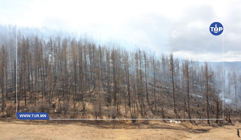 Ой, хээрийн түймрээс урьдчилан сэргийлье