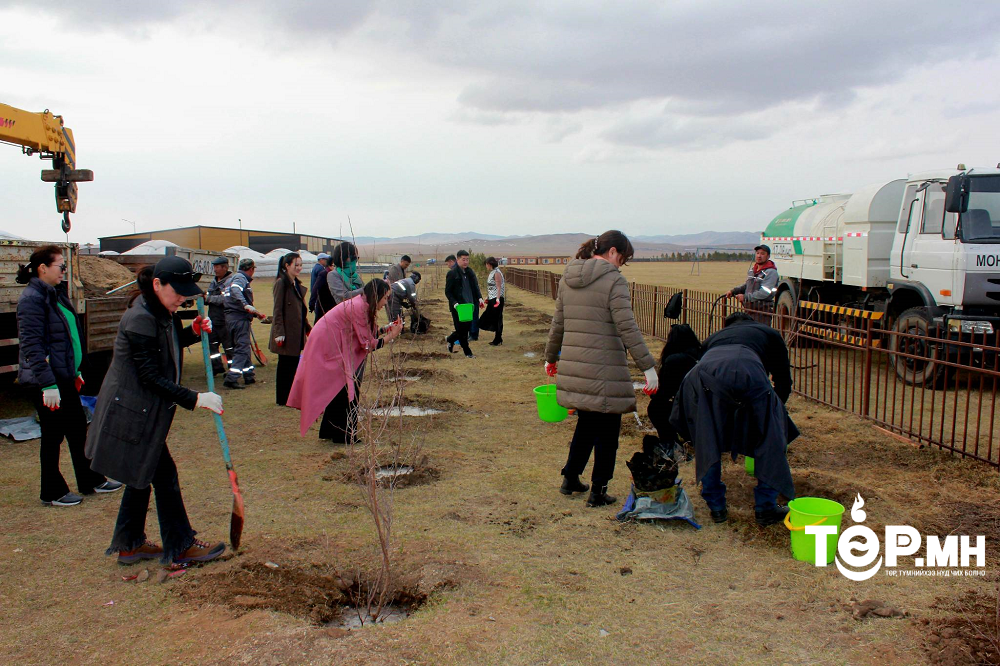 “Монгол наадам цогцолбор”-т жимсний модны төгөл байгуулна